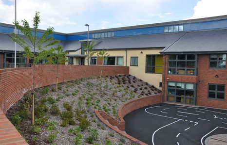 Magherafelt Primary School