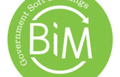 BIM